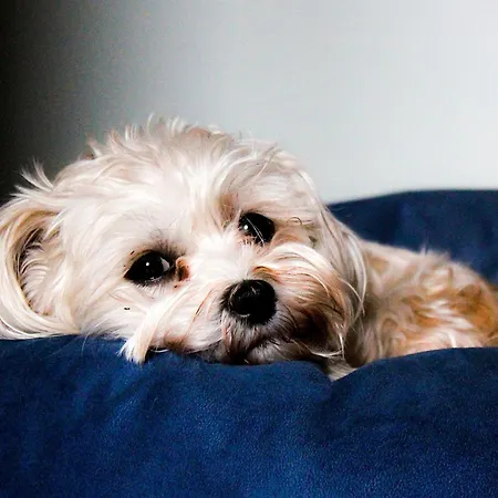 Apartamento Athenea 3000 *